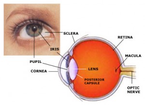 Cataract surgery 